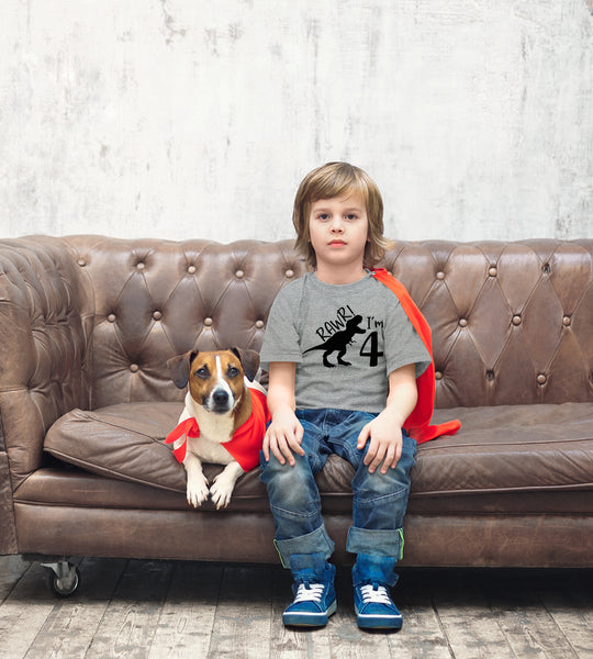 rawr im 4 Year Old boy Shirt Roar 4th Birthday Shirt boy Four Dinosaur Tshirt