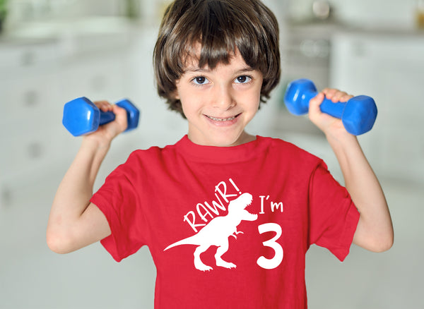 Rawr im 3 Dinosaur 3rd Birthday Shirt boy | Roar Three Year Old Dino Tshirt | rex Green