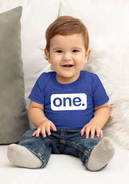 First Birthday Outfit boy 1st Birthday boy Gifts one Year Old Shirt Baby Boys