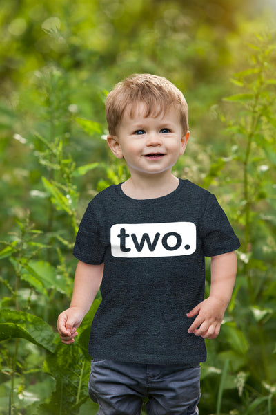 2nd Birthday Shirt boy 2 Year Old Toddler Kids Outfit Second Two t-Shirt Party