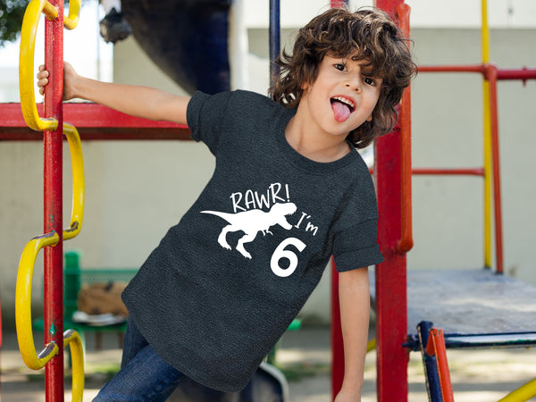 rawr im 6 dinosaur 6th birthday shirt boy 6 year old dino tshirts roar six bday