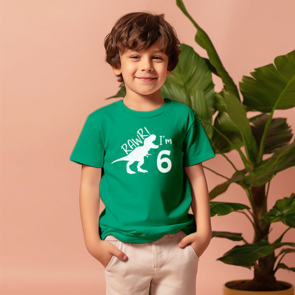 rawr im 6 dinosaur 6th birthday shirt boy 6 year old dino tshirts roar six bday