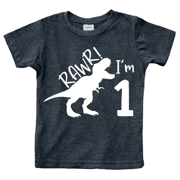 rawr im 1 Dinosaur First Birthday boy Outfit 1st Roar one Year Old Dino Shirt rex
