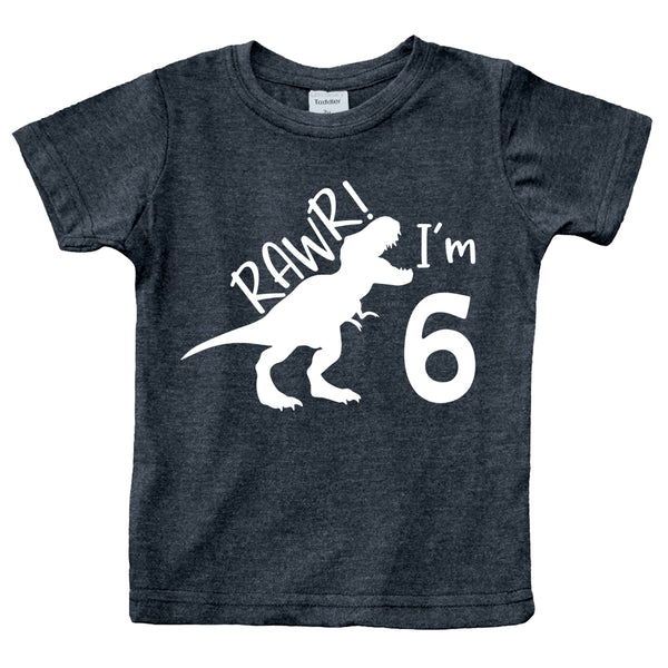 rawr im 6 dinosaur 6th birthday shirt boy 6 year old dino tshirts roar six bday