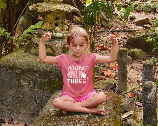 Young Wild and Three Shirt 3rd Birthday Girl Outfit 3 Year Old Third Party Tshirt
